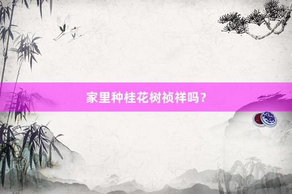 家里种桂花树祯祥吗？