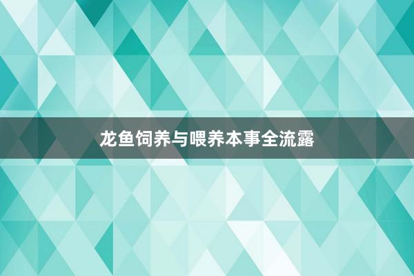龙鱼饲养与喂养本事全流露